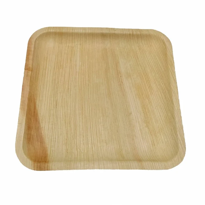 10 wiederverwendbare Speiseteller ARECABIO