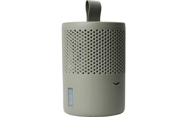 Absodry Duo Family Series 6 Raumentfeuchter für 60 m³