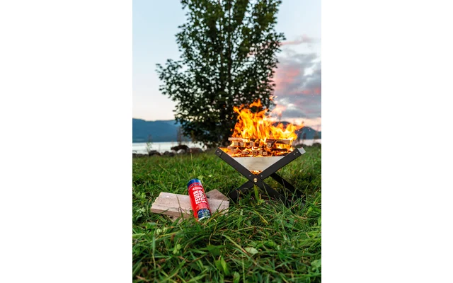 Abus AFS625 Feuerstopp Feuerlöschspray