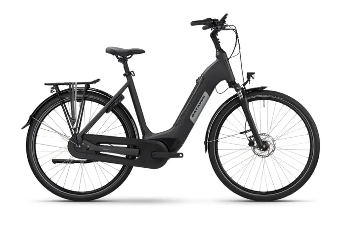 BATAVUS ALTURA E-Go Power Pro / Modell 2024