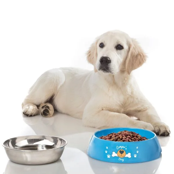 Brunner Hundeschüssel Hungry, 17,5/14 x 6 cm