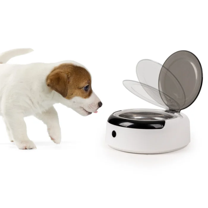 Camp4 Hundenapf mit Deckel und Sensor