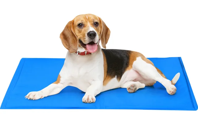 Edco Kühlmatte für Haustiere 50×40 cm
