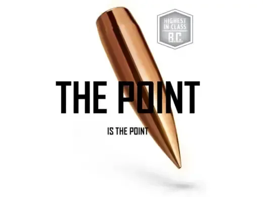 Geschosse Nosler RDF .30 cal, dia .308, 168grs – Bild 3