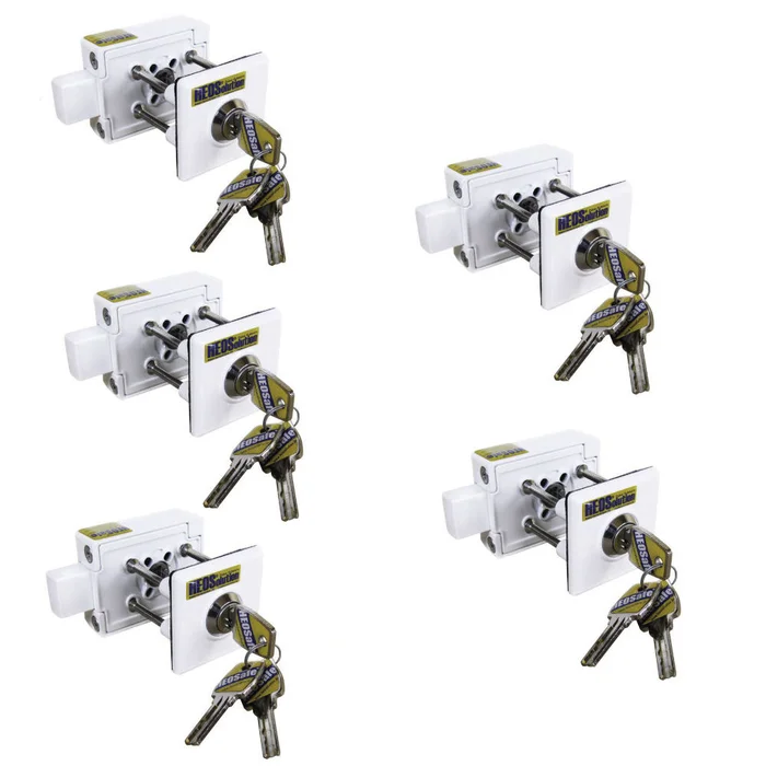 HEOSafe 1958-5W Zusatzschloss weiß – 5er Set, gleichschließend