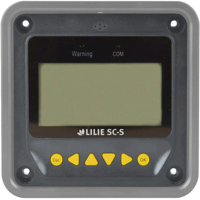 Lilie LCD-Batteriecomputer