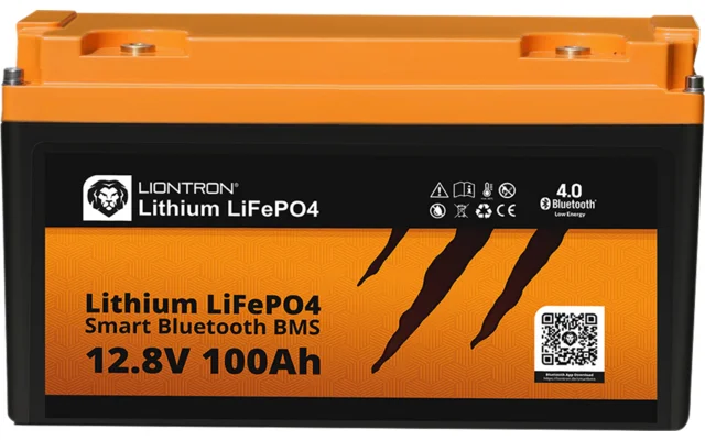 Liontron LiFePO4 Lithium Batterie 12 V