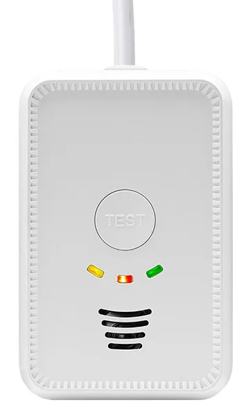 LPG/CO Gaswarner 12 V – 2 in 1